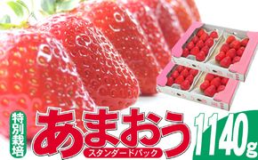 いちご 2027年2月より発送 うるう農園のあまおう スタンダード4パック 約1.14kg 果物 フルーツ デザート 食後 特別栽培 福岡県産 国産 日本産 ※配送不可：離島