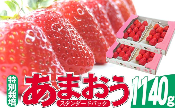 いちご 2027年2月より発送 うるう農園のあまおう スタンダード4パック 約1.14kg 果物 フルーツ デザート 食後 特別栽培 福岡県産 国産 日本産 ※配送不可：離島