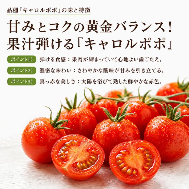 ミニトマト「キャロルポポ」3kg 栽培期間中 農薬・化学肥料不使用 北海道 仁木町 トマト ミニトマト 野菜 [自然農園]