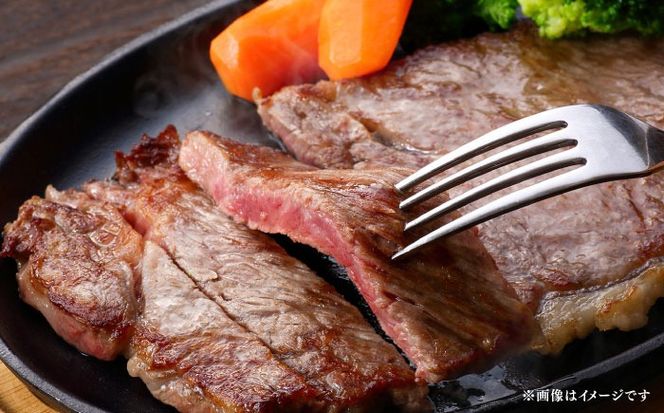 【全3回定期便】博多和牛 A5ランク サーロインステーキ 雌 350g×1枚≪築上町≫【KRAZY MEAT】 ステーキ サーロイン BBQ 和牛 肉[ABEN010]