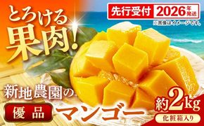 【化粧箱入り】【先行受付・2026年発送】新地農園 アップルマンゴー 優品 約2kg （4～6玉）- 産地直送 先行予約 沖縄県産 贈り物 ギフト 南国フルーツ 旬の味覚 オススメ 沖縄県 八重瀬町