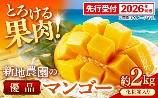 【化粧箱入り】【先行受付・2026年発送】新地農園 アップルマンゴー 優品 約2kg （4～6玉）- 産地直送 先行予約 沖縄県産 贈り物 ギフト 南国フルーツ 旬の味覚 オススメ 沖縄県 八重瀬町