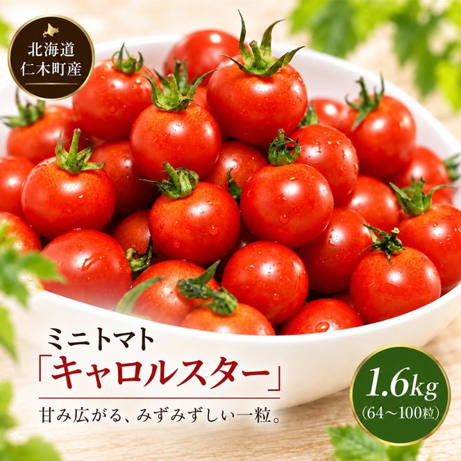 [2026年発送] 北海道 仁木町産 ミニトマト キャロルスター 1.6kg (64粒～100粒) トマト 野菜 国産 プチトマト 甘み 使いやすい サラダ お弁当 家庭用 子供に人気 リコピン [REDA FARM]