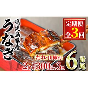 【36039】＜定期便・全3回＞東串良町のうなぎ蒲焼(無頭)(2尾・計約300g・タレ、山椒付×3回)うなぎ 高級 ウナギ 鰻 国産 蒲焼 蒲焼き たれ 鹿児島 ふるさと 人気【アクアおおすみ】