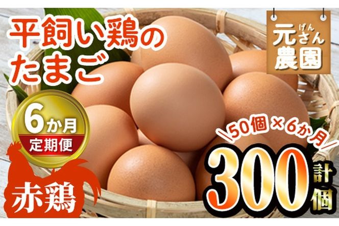 ＜定期便・全6回 (連続)＞平飼い赤鶏のたまご (総量300個・S-Mサイズ50個×6回) 元さん農園 卵 玉子 卵かけご飯 玉子焼き 平飼い 鶏 鶏卵 養鶏場直送 朝採れ 新鮮 大分県 佐伯市 【GE006】【 (株)海九】