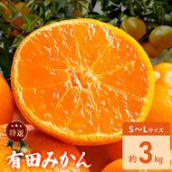 特選 有田みかん 和歌山 S～Lサイズ 大きさお任せ 約3kg_DZ6233