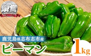 志布志産ピーマン(1kg) p8-149
