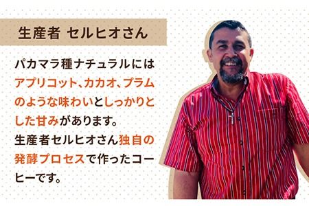 【年内発送】中煎りコーヒー豆250g×2袋 (豆・粉選べます) エルポルベニール農園パカマラ種ナチュラル糸島市 / COFFEE UNIDOS [AQF004] 珈琲 カフェ コーヒー粉