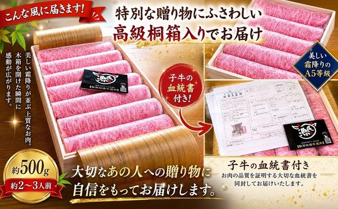 静岡特撰牛サーロインスライスセット（すき焼き・しゃぶしゃぶ用）500g 222232_DC003