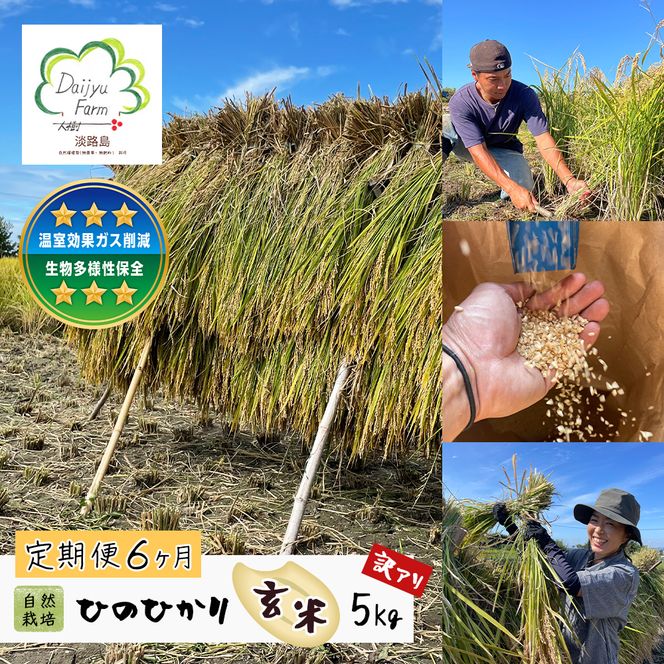 【定期便6ヶ月】自然栽培　ひのひかり（玄米）　5kg 《無選別品のため訳アリ》