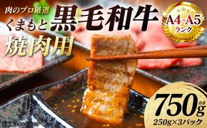 【A4～A5ランク】 くまもと黒毛和牛 焼肉用 750g （250g×3パック） 和牛 牛肉 お肉 黒毛和牛 冷凍 焼肉 BBQ おかず ギフト 熊本県 八代市