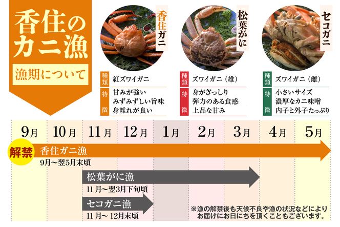 《12/21まで年内発送》【調理済み 生 香住ガニ 2Lサイズ 5肩セット 冷凍】日本海 本場 鮮度 抜群 カネニ基準 厳選 殻むき不要 簡単 お手軽 足 爪 身 脚 ボイル 鍋 蒸し 焼き 蟹 かに ベニズワイガニ 紅 ズワイガニ べに ずわいがに ふるさと納税 人気 おすすめ 返礼品 兵庫県 香美町 香住 カネニ 06-14