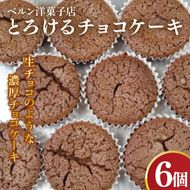 とろけるチョコケーキ【チョコレート 生チョコ 濃厚 おやつ プレゼント】(CK203)