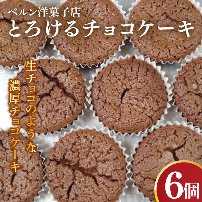 とろけるチョコケーキ【チョコレート 生チョコ 濃厚 おやつ プレゼント】(CK203)