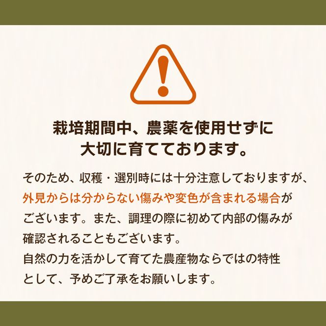 淡路島玉葱 10kg 【栽培期間中、無農薬栽培】サイズ混合SS～2L 玉ねぎ