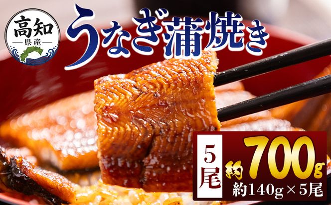 うなぎ 高知県産蒲焼きうなぎ 約１４０ｇ ５尾 計約７００ｇ fb-0147