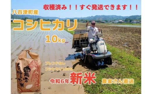 476.令和6年度米 新米！【すぐ発送】地元でも美味しいと評判！八百津町小川さんのコシヒカリ10Kg 申込  発送 可能 すぐにお届け