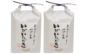 ＪＡいび川プレミアム米「いびいただき」/白米6kg お米 