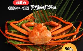 新湊かに一番屋【お薦め】高志の紅ガニ500g ズワイガニ 紅ずわいがに カニ 蟹 富山県 射水市　※2025年10月上旬～2026年4月中旬頃に順次発送予定　※北海道・沖縄・離島への配送不可