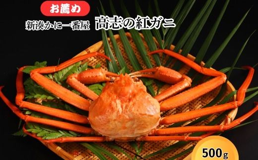 新湊かに一番屋【お薦め】高志の紅ガニ500g ズワイガニ 紅ずわいがに カニ 蟹 富山県 射水市　※2025年10月上旬～2026年4月中旬頃に順次発送予定　※北海道・沖縄・離島への配送不可