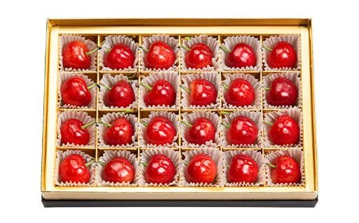 FYN9-926 ≪2026年先行予約≫5月10日母の日 贈答用 山形県産 さくらんぼ 佐藤錦 24粒 化粧箱入 2026年5月上旬から発送 加温 ハウス栽培 果実 果物 くだもの フルーツ 食品 デザート 化粧箱 贈答 ギフト プレゼント母 母の日 感謝 産地直送 山形県 西川町 月山