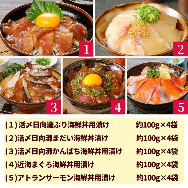 日向灘 お魚の漬け丼 バラエティ 5回 定期便　N019-YE097