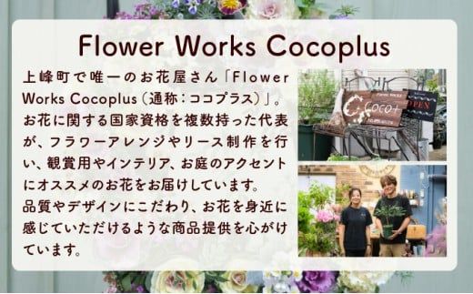 【選べる回数】季節のお花が楽しめる☆お花屋さん 通常便 1回 定期便 3回 5回 ブリコラージュフラワー 寄せ植え 15~20株