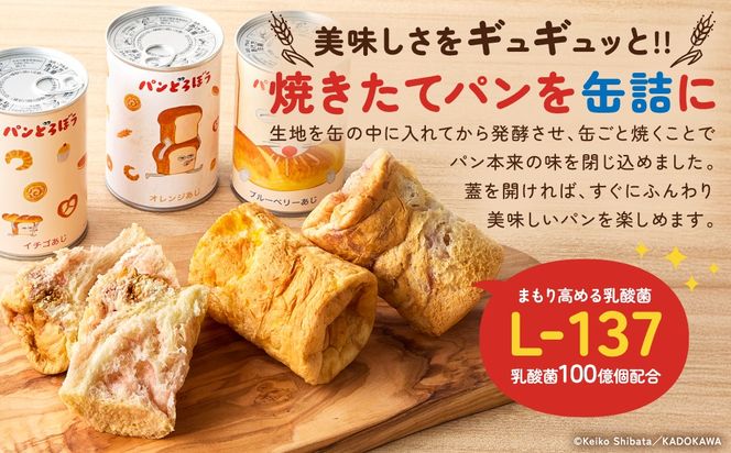 ns030-011 パンどろぼうのパンのかんづめ 3缶セット