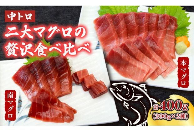 本マグロ 南マグロ 中トロ各1柵 (計400g) 食べ比べ まぐろ 鮪 鮮魚 魚 柵 2種 贅沢 高級 人気