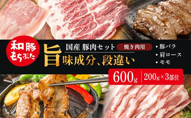 和豚もちぶた お試しセット 焼肉用 600g 200g×3部位 1～2人世帯向け 豚バラ 肩ロース モモ