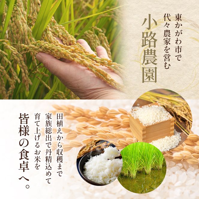 令和8年産　新米「ヒノヒカリ」30kg（玄米） お米 30kg 