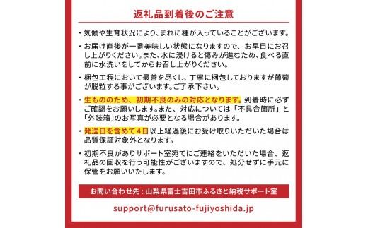 【2025年先行予約】【2回定期便】ジューシーで甘さ抜群 厳選 シャインマスカット 1kg×2回配送 山梨県産 ぶどう 果物 フルーツ 旬 山梨県 高級 2025年 先行予約 山梨 富士吉田