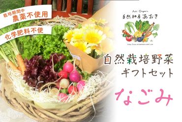 【数量限定】自然栽培野菜ギフトセット（なごみ） AB00008