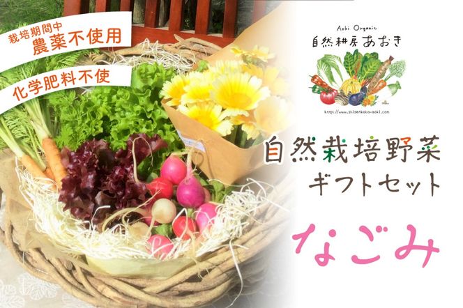 【数量限定】自然栽培野菜ギフトセット（なごみ） AB00008