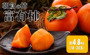 柿 富有柿 4.8kg 筑前あさくら農協 配送不可 離島 果物類 かき 