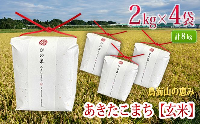 米 お米 秋田県産 あきたこまち 玄米 8kg（2kg×4袋）神宿る里の米「ひの米」（お米 小分け）