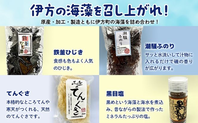 伊方町産 海のおくりものセット IKTO009