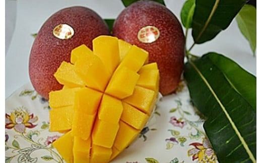 【先行予約】マンゴー(アーウィン種) 8～12玉 約5kg IF-3