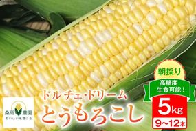 【期間限定発送】夢のような美味しさ！生食可能 高糖度 とうもろこし ドルチェ・ドリーム 5kg (9～12本) [桑高農園 静岡県 吉田町 22424251]