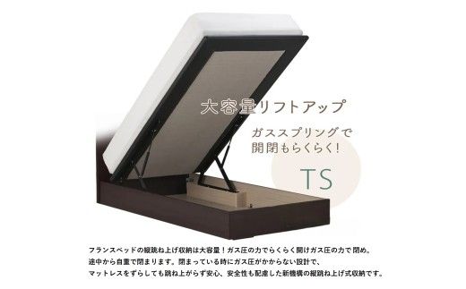 フランスベッド ファディア FAD-F1 TS（縦跳ね上げ収納260mm） M セミダブル　R-290