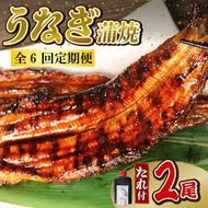 【全6回定期便】 うなぎ 蒲焼 大姿焼き 2尾 (140g×2) 定期便 鰻蒲焼 ウナギ かばやき 土用 丑の日 活鰻 自家製蒲焼 たれ 山椒 ギフト 贈答 冷蔵 まとめ買い 静岡県 藤枝 ふるさと人気 [PT0192-020000]