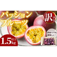 【0075303a】＜訳あり＞ゆきちゃん農園の家庭用パッションフルーツ(1.5kg以上) フルーツ 果物 果実 訳あり 美味しい 家庭用 期間限定 数量限定 国産 【ゆきちゃん農園】