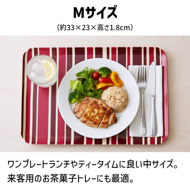 TATSU-CRAFT マグネットトレー M 33cm トリノストライプ RD レッド すべり止め付き ［Tk1088］ 303446_DA90818VC03