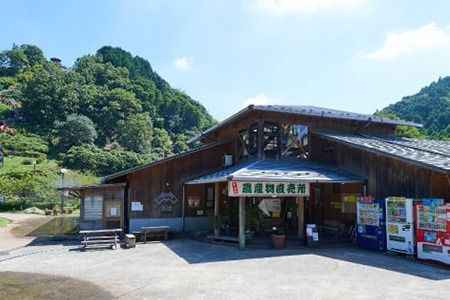 せふり特選椎茸セット＜極み＞ 【せふり 干ししいたけ 原木】(H044102)