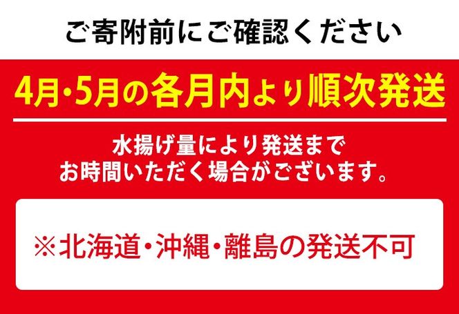 y̑Sǒzy0301101bzցES2(4E5)ut̑NBOXvlꔭIN≮I܂N(2kgx×2)   N CN lߍ킹 Zbg hg VՂ ς Ăy]쏤Xz