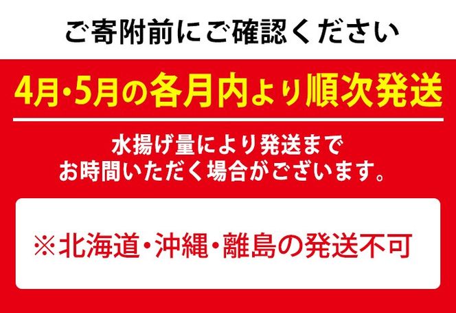 【0301101b】＜定期便・全2回(4月・5月)＞「春の鮮魚BOX」朝獲れ発送！鮮魚問屋が厳選したおまかせ鮮魚(約2kg程度×2回) 魚 魚介類 鮮魚 海鮮 詰め合わせ セット 刺身 天ぷら 煮つけ 塩焼き【江川商店】