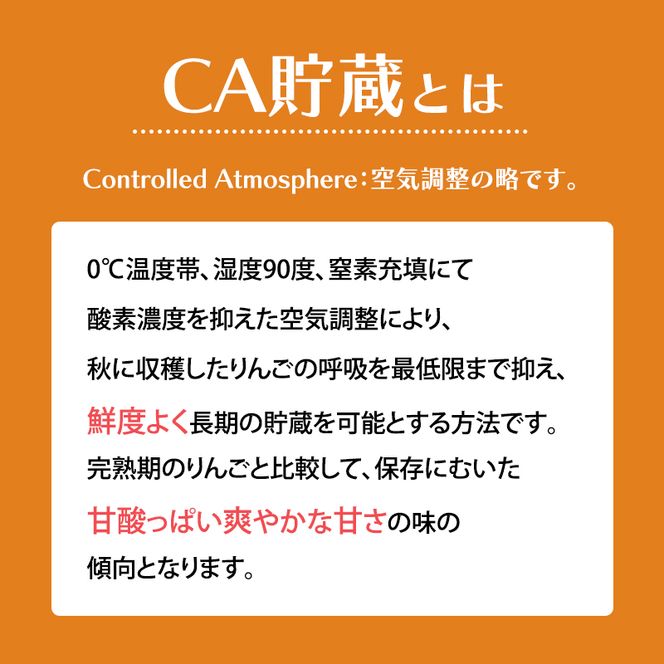 【平均糖度13度以上】4月～5月 クール便発送 家庭用 訳あり CA貯蔵 シナノゴールド 約 3kg りんご リンゴ 林檎 果物 フルーツ わけあり 青森