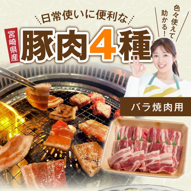 宮崎県産 豚肉 4種盛り合わせ N0217-YA6614