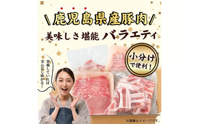 鹿児島県産 豚肉 バラエティ セット6種 計5.4kg b5-201