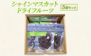 シャインマスカット ドライフルーツ 5個 セット 長野 信州 坂城